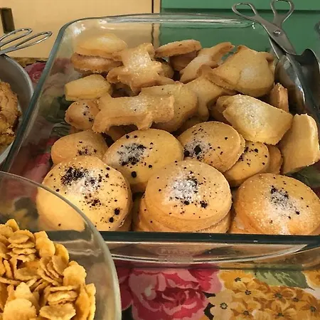 酒店 Annita 切尔维亚